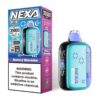 Blueberry Watermelon Nexa Pix 35000